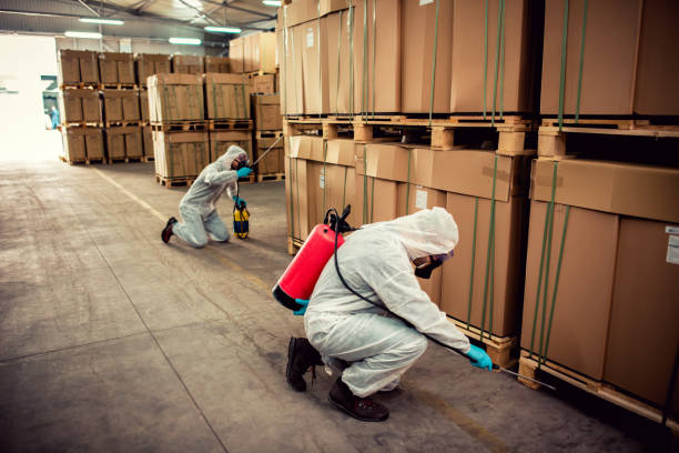 Best Pest Control for Homes  in New Bremen, OH