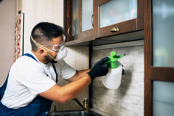 Best Best Pest Control Companies  in New Bremen, OH