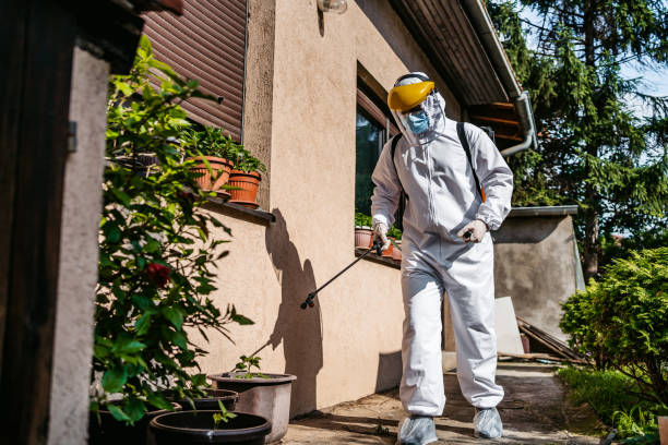 Best Residential Pest Control  in New Bremen, OH
