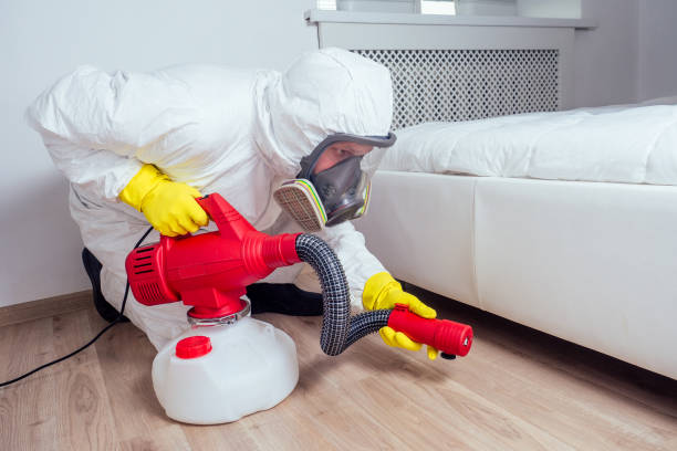 Best Cockroach Control Services  in New Bremen, OH