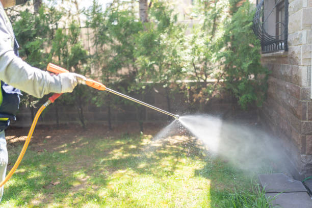 Best Wasp Removal Services  in New Bremen, OH