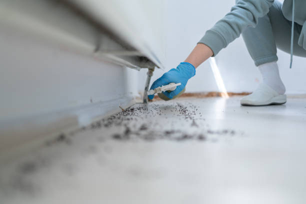  New Bremen, OH Pest Control Pros