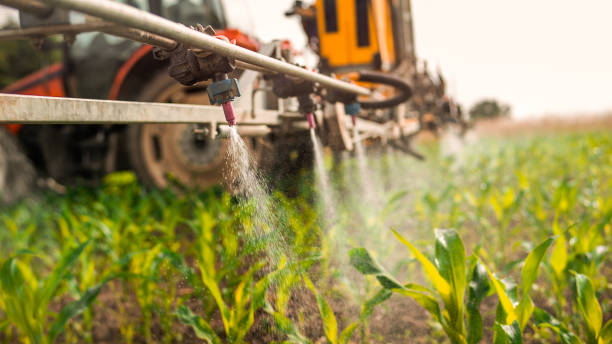 Best Pest Prevention Services  in New Bremen, OH